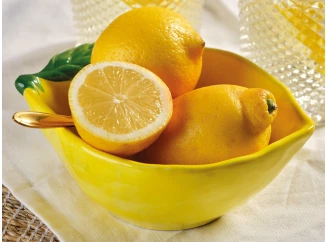 Miska Citron 12x6 cm, žltá