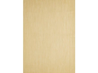 Vonkajší/vnútorný koberec Maestro 160x220 cm, béžový