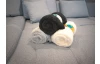 Deka Kuschelteddy 150x200 cm, strieborná