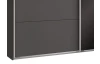 Šatníková skriňa Easy Plus, 225 cm, grafit/čierne sklo