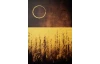 Obraz na stenu Boho mystic, 65x95 cm